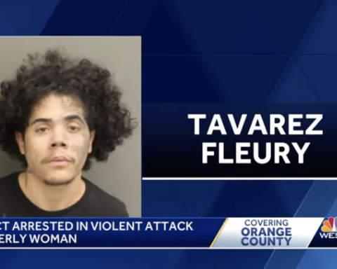 Diego Stalin Tavarez Fleury mugshot - mugged elderly woman